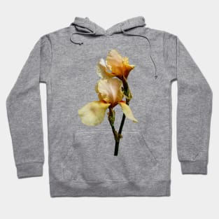 Peach Colores Irises Hoodie